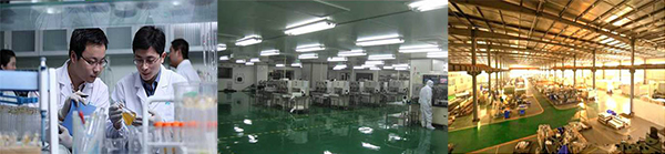 香港正能量，光導(dǎo)照明專業(yè)供應(yīng)商，8年專注