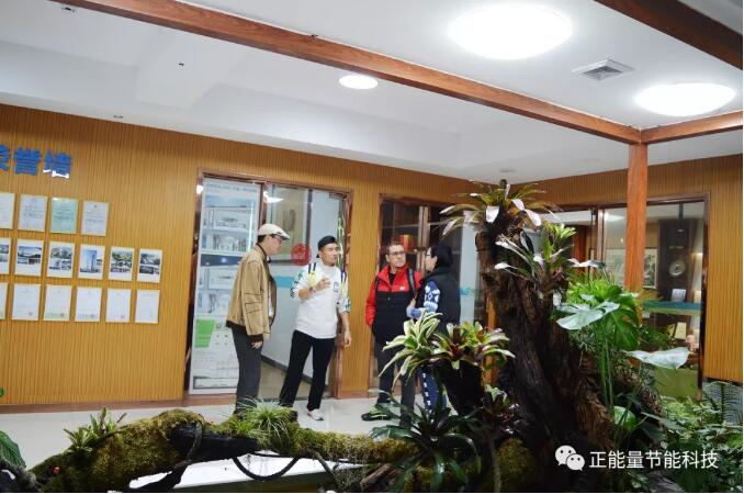 正能量光導照明